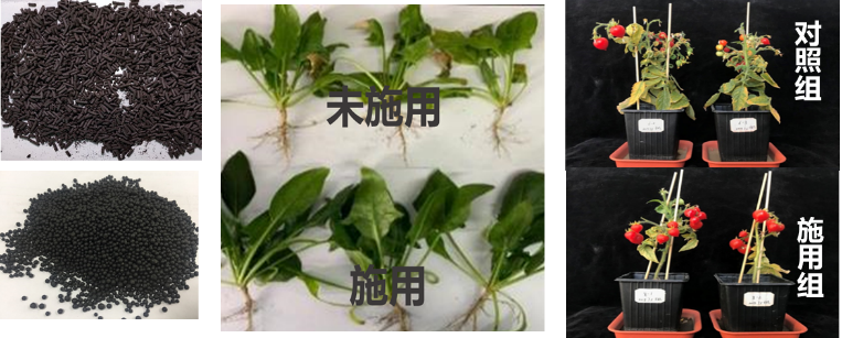 1641263921817452.png 10.png