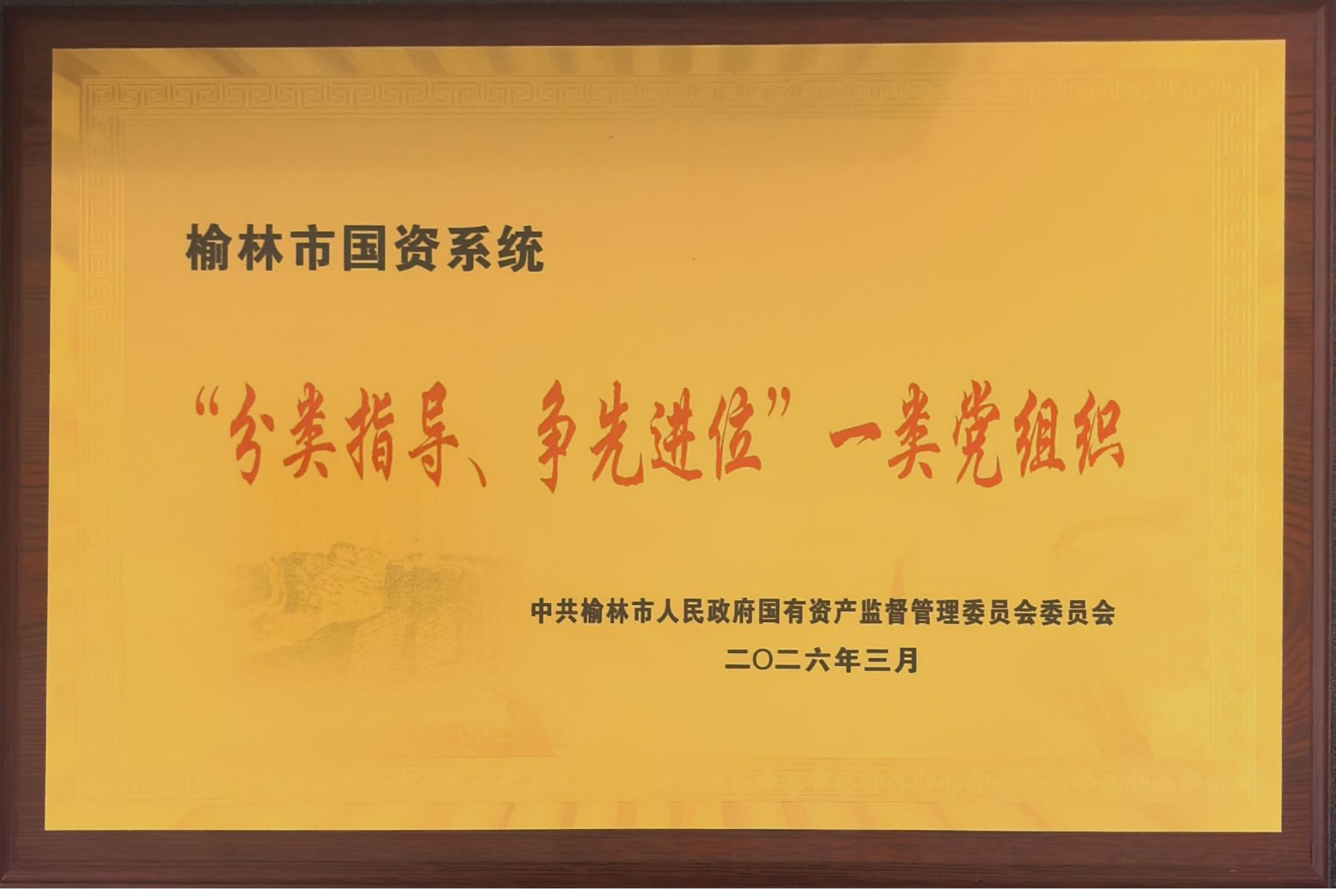 1772766987371776.png 一类党组织压缩.png